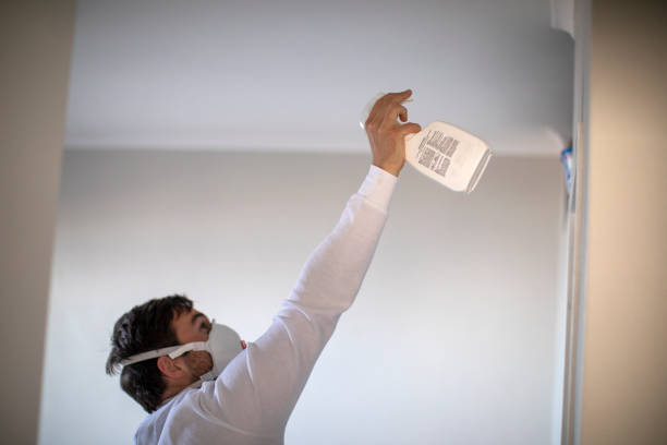 Mold Removal Process in Beverly Hills, TX