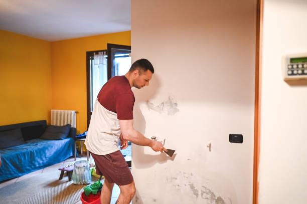 Beverly Hills, TX Mold Removal Company